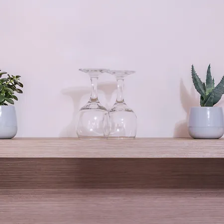 Veliki Garni Novi Sad