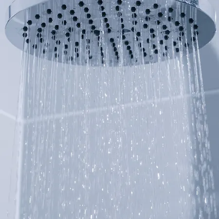 Veliki Garni מלון