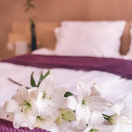 Hotel Veliki Garni Novi Sad
