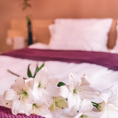 Hotel Veliki Garni Novi Sad